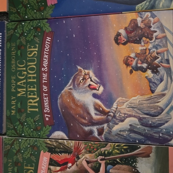 Magic Tree House Book Set - Picture 6 of 7